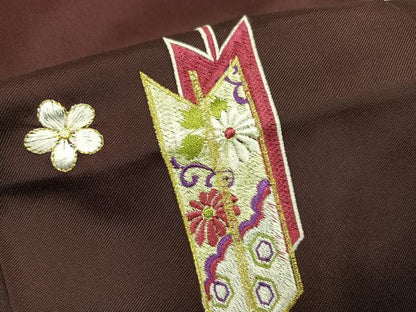 平和屋着物●女性　行灯袴　刺繍　矢羽根花文　暈し染め　金糸　洗える着物　AABG7111ph