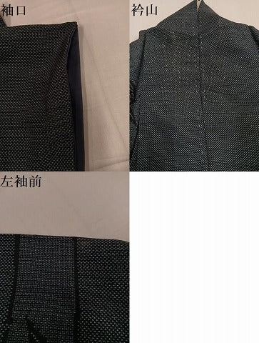 平和屋着物●塩沢紬　110亀甲　笹竹文　正絹　逸品　AABG7152ph