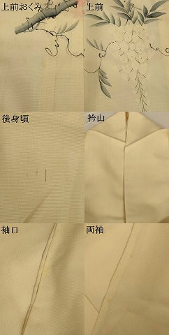 平和屋着物＊夏物 訪問着 絽 手描き 藤花房 正絹 逸品 AABG7378jd