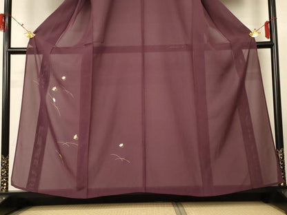平和屋着物＊夏物　訪問着　絽　蛍　金銀糸　金彩　ますいわ屋扱い　正絹　逸品　AABG7384jd
