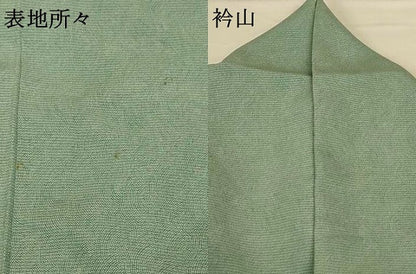 平和屋着物＊夏物 江戸小紋 絽 作家物 鮫小紋柄 正絹 逸品 AABG7395jd