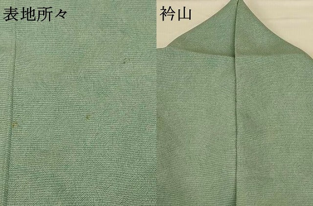 平和屋着物＊夏物 江戸小紋 絽 作家物 鮫小紋柄 正絹 逸品 AABG7395jd