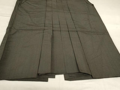平和屋着物＊夏物 男性 行灯袴 縞 正絹 逸品 AABG7400jd