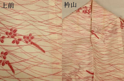 平和屋着物＊夏物 小紋 絽 草花文 AABG7419jd