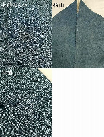 平和屋着物＊夏物 訪問着 江戸小紋 絽 流水文 正絹 逸品 AABG7435jd