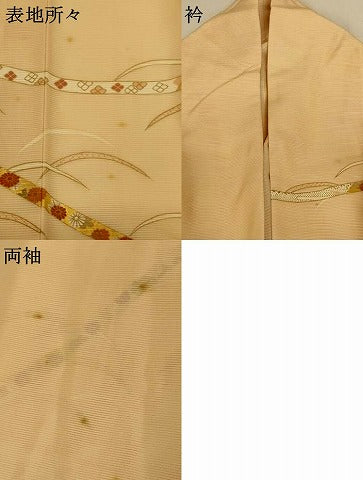 平和屋着物＊夏物 訪問着 絽 鬘帯花文 金彩 正絹 逸品 AABG7438jd
