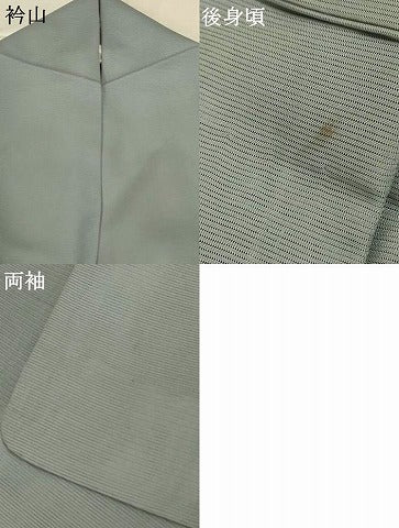 平和屋着物＊夏物 訪問着 絽 草花文 暈し染め 銀糸 正絹 逸品 AABG7460jd