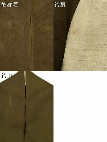 平和屋着物＊夏物 訪問着 絽 草花文 正絹 逸品 AABG7478jd