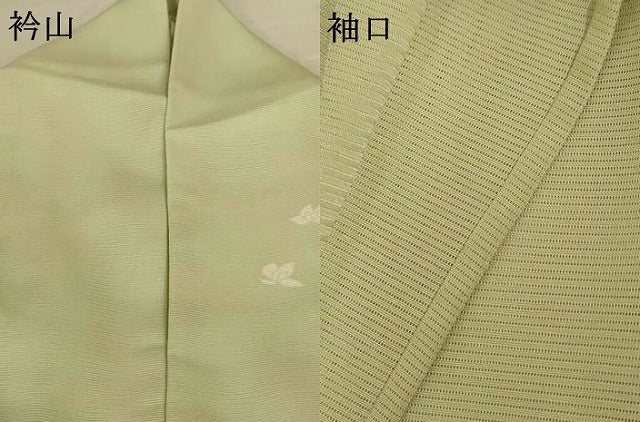 平和屋着物＊夏物 訪問着 絽 草花文 正絹 逸品 AABG7512jd