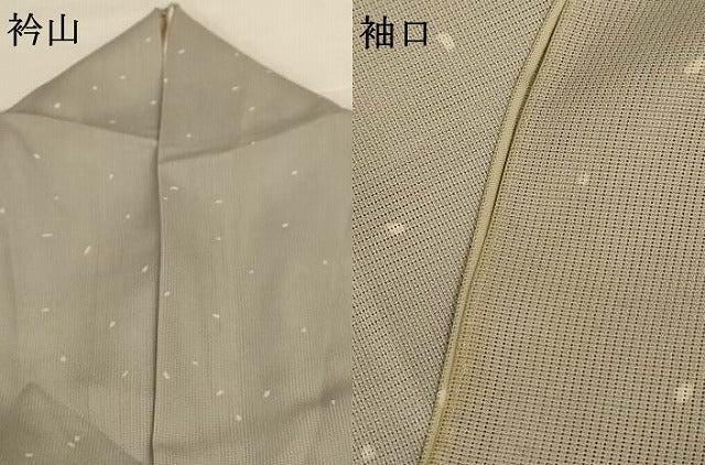 平和屋着物＊夏物 小紋 霞文 正絹 逸品 AABG7515jd