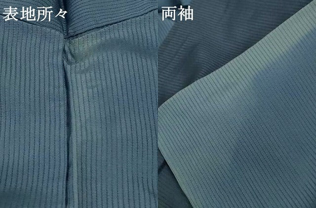 平和屋着物＊夏物 染色作家 斉藤三才 訪問着 縦絽 刺繍 飛鳥文 暈し染め 正絹 逸品 AABG7516jd