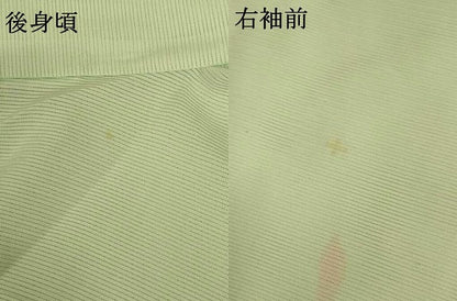 平和屋着物＊夏物 訪問着 絽 手描き 草花文 暈し染め 正絹 逸品 未使用 AABG7519jd