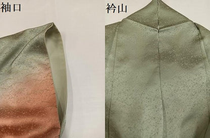平和屋着物●金彩友禅　卓越技能者・名工・和田光正　訪問着　露芝文　暈し染め　金彩　正絹　逸品　AABG7553ph