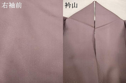 平和屋着物▽訪問着　単衣　総刺繍　紐　金糸　正絹　逸品　AABG7618ck