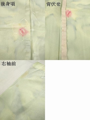 平和屋着物▽上質な小紋 単衣 舞花文 暈し染め 正絹 逸品 AABG7624ck