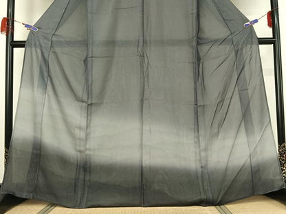 平和屋着物▽訪問着　無双　紗袷　紗×絽　風景文　暈し染め　正絹　逸品　AABG7733jh