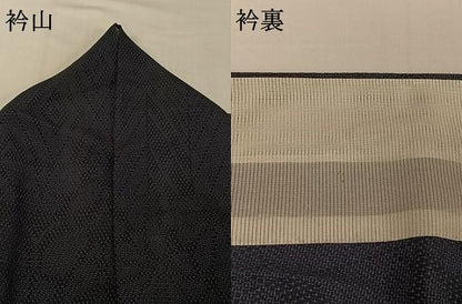 平和屋着物▽本塩沢 単衣 110亀甲 横段吉祥花文 正絹 逸品 AABG7767jh