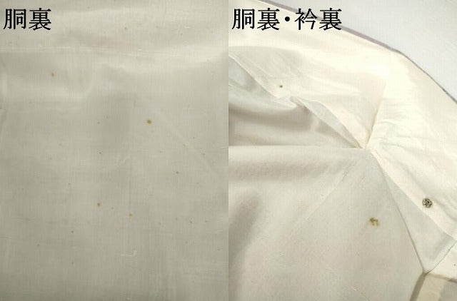 平和屋着物●本場結城紬　重要無形文化財　100亀甲　風景文　正絹　逸品　未使用　AABG7838cs