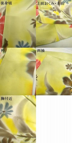 平和屋着物●上質な小紋　手描き　草花文　暈し染め　正絹　逸品　AABG7844cs
