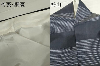 平和屋着物●本場大島紬　一元絣　横段文　正絹　逸品　AABG7862cs