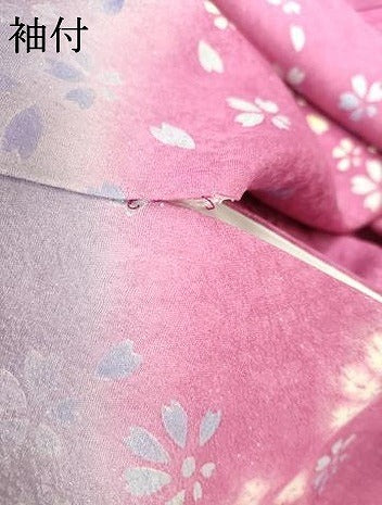 平和屋着物●豪華振袖　舞花文　暈し染め　銀糸　新通し地　ロング丈　正絹　逸品　AABG7923cs