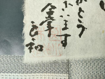 平和屋着物●染織工芸家　田中良和　本場大島紬　訪問着　白大島　童子笹梅文　正絹　逸品　AABG7926cs
