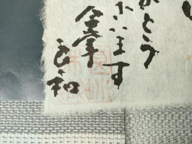 平和屋着物●染織工芸家　田中良和　本場大島紬　訪問着　白大島　童子笹梅文　正絹　逸品　AABG7926cs