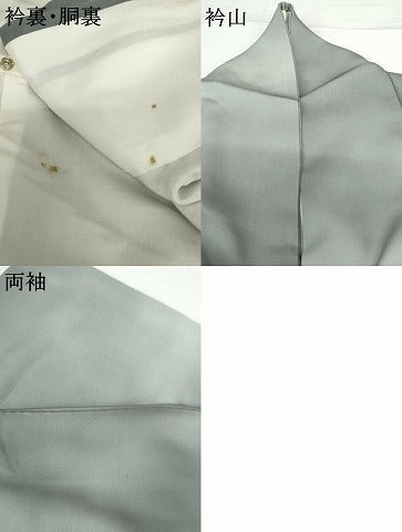 平和屋着物●染色作家　斉藤三才　訪問着　鷲　暈し染め　正絹　逸品　AABG7998cs