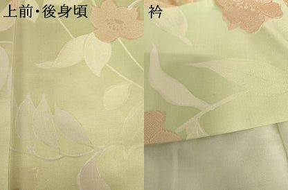 平和屋着物●上質な小紋　地紋起こし　枝花文　暈し染め　正絹　逸品　AABG8008cs