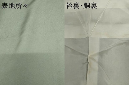 平和屋着物●上質な色無地　青白橡色　浜ちりめん　反端付き　正絹　逸品　未使用　AABG8021cs