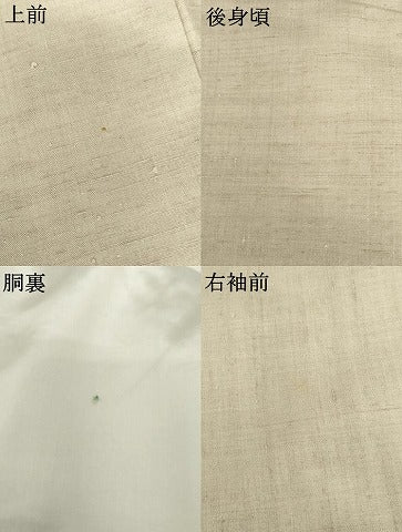 平和屋着物●本場結城紬　重要無形文化財　色無地　亜麻色　正絹　逸品　AABG8033cs