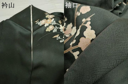 平和屋着物●訪問着　駒刺繍　雲取り枝花文　金彩　正絹　逸品　AABG8040cs