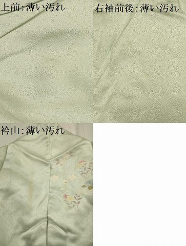 平和屋着物■訪問着 雪輪花文 暈し染め 金糸 金彩 正絹 逸品 AABG8067sx