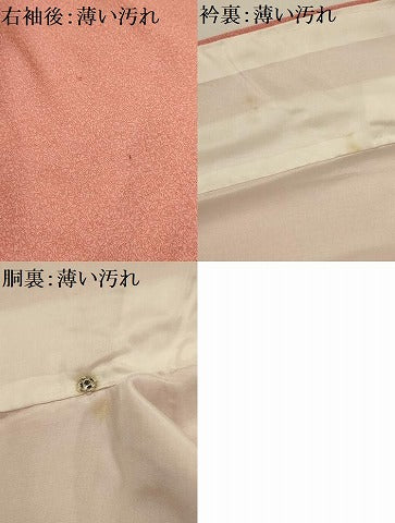 平和屋着物■上質な色無地 作家物 紋意匠 東雲色 正絹 逸品 AABG8144sx