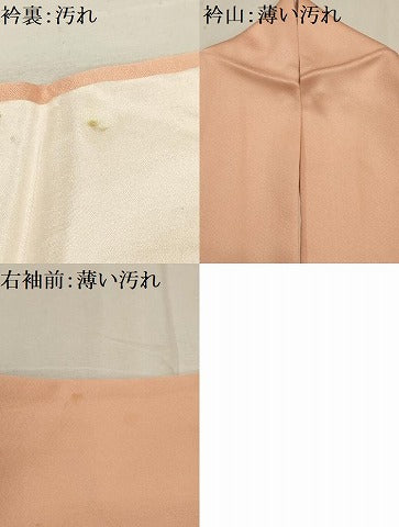平和屋着物■訪問着 花文箱文 暈し染め 金彩 正絹 逸品 AABG8203sx