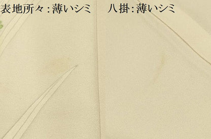 平和屋着物■訪問着 刺繍 孔雀花文 正絹 逸品 AABG8360sx