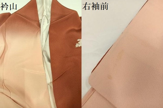平和屋着物●訪問着　友禅　群れ鶴草花文　暈し染め　金銀彩　正絹　逸品　AABG8494ph