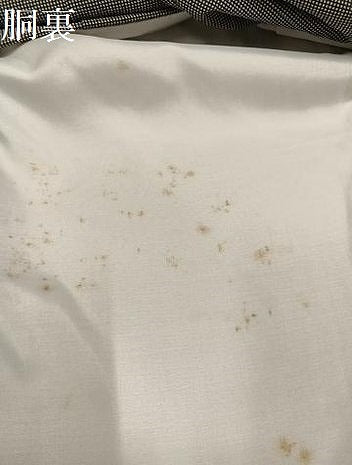 平和屋着物●江戸小紋　角通し　正絹　逸品　AABG8551ph
