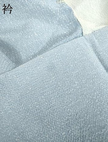 平和屋着物▽上質な小紋　単衣　作家物　洛中洛外　間道　暈し染め　鬼しぼ縮緬　正絹　逸品　AABG8576ck
