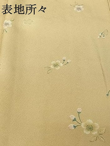 平和屋着物▽上質な小紋 単衣 舞花文 正絹 逸品 AABG8695jh