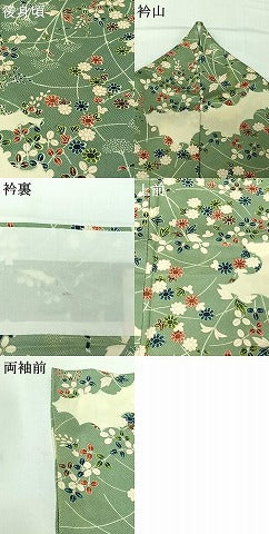 平和屋着物▽上質な小紋　単衣　雲取り花文　正絹　逸品　AABG8873jh