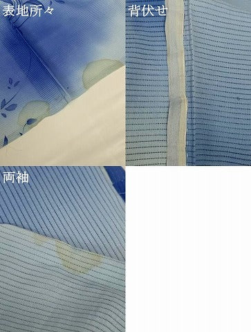 平和屋着物＊夏物 セミアンティーク 小紋 絽 草花文 暈し染め 銀彩 正絹 逸品 AABG9094jd