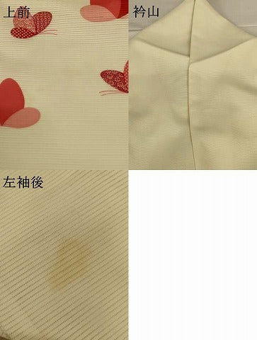 平和屋着物＊夏物 訪問着 絽 舞蝶文 洗える着物 AABG9109jd