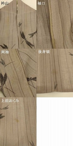 平和屋着物＊夏物 紗紬 小千谷 彩稚駒絣 勝虫 蜻蛉 反端付き 正絹 逸品 AABG9133jd