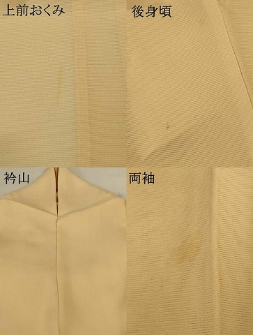 平和屋着物＊夏物 訪問着 絽 流水花鳥文 正絹 逸品 AABG9158jd