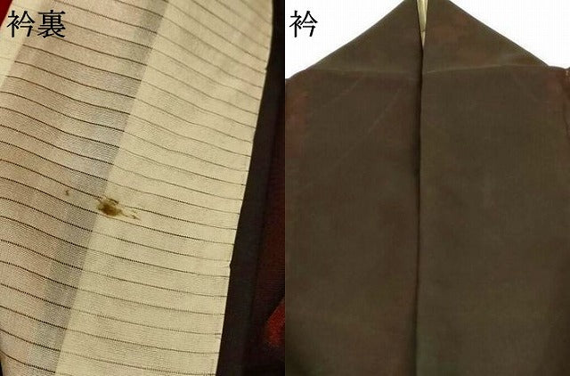 平和屋着物＊夏物 小紋 紗 舞花文 正絹 逸品 AABG9171jd