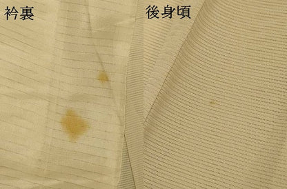 平和屋着物＊夏物 訪問着 絽 手描き 枝花文 正絹 逸品 未使用 AABG9184jd