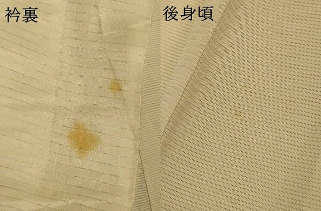 平和屋着物＊夏物 訪問着 絽 手描き 枝花文 正絹 逸品 未使用 AABG9184jd