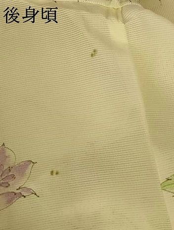 平和屋着物＊夏物 小紋 絽 手描き 草花文 洗える着物 AABG9186jd