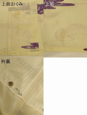 平和屋着物＊夏物 小紋 絽 雲取り草葉文 洗える着物 AABG9191jd